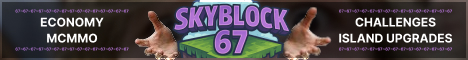 SkyBlock 67