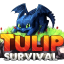 TulipSurvival - Friendly Survival! Minecraft Parkour server